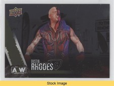 2021 Upper Deck AEW All Elite Wrestling Rainbow Foil Dustin Rhodes #4 READ 6f8