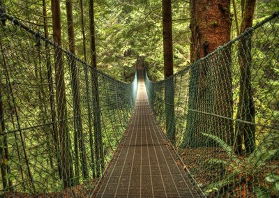 Tranquil Forest Bridge Poster Wall Art - Nature Landscape Decor