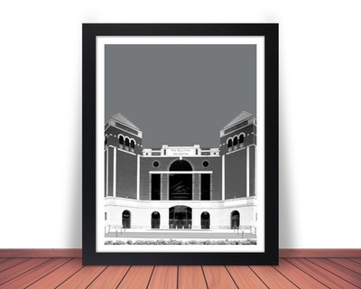 Framed BALLPARK in ARLINGTON Texas Rangers Photo Stadium Skyline 8x10 11x14 WN2