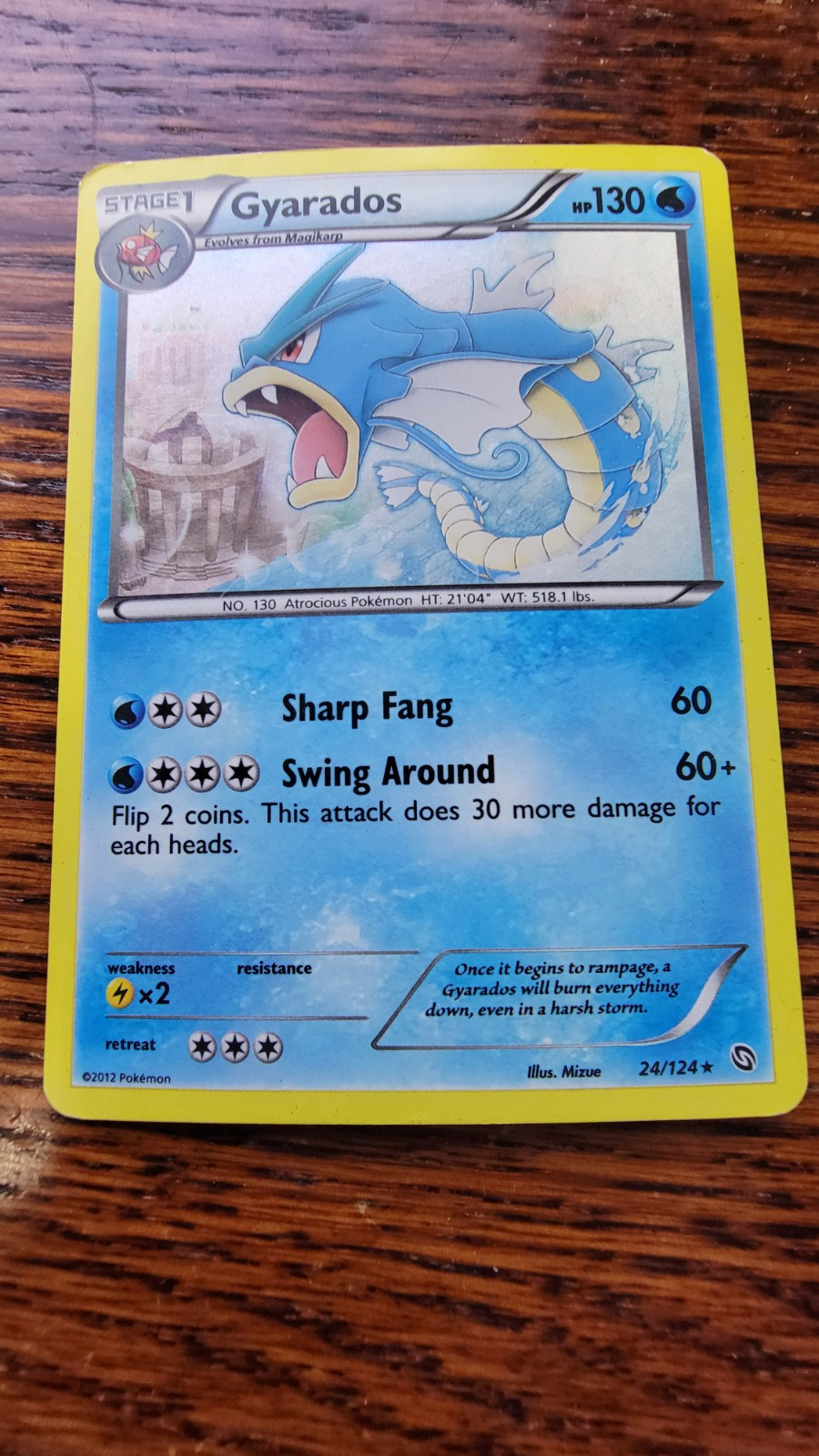 MP Pokémon TCG Gyarados Dragons Exalted 24 Holo Cosmos Holo Rare