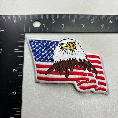 USA BALD EAGLE AMERICAN FLAG Patriotic Patch 45N1