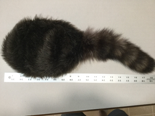 Vintage Davey Crockett Daniel Boone Faux Coonskin Cap mit Echtfellschwanz