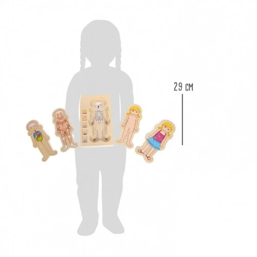 Puzzle In Legno Anatomia - Immagine 4 di 4