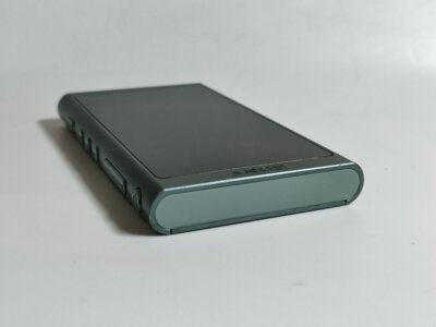Sony NW-A55 With Cable Walkman Digital Audio Player Hi-Res bundled
