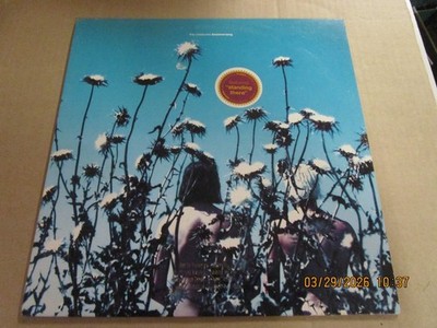 CREATURES Boomerang US GOLD PROMO STAMP LP Used! 1989 Geffen Records Banshees