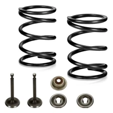  Racing 18lb Valve Springs Kit for Predator 196cc 212cc 224cc Non Hemi 18 pound
