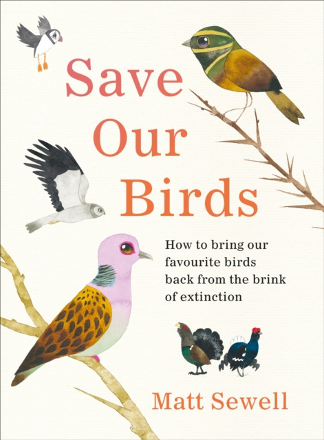 Save Our Birds by Matt Sewell (Hardback Book)