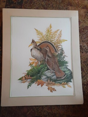 Roger Tory PetersonS/N  LE 423/950 ''RUFFED GROUSE'' 21 x 28'' Lithograph