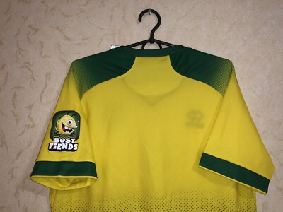 Tercera camiseta Erreà del Norwich City 2016/17