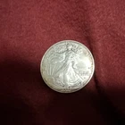 2022 American Silver Eagle — photo from another recent sale