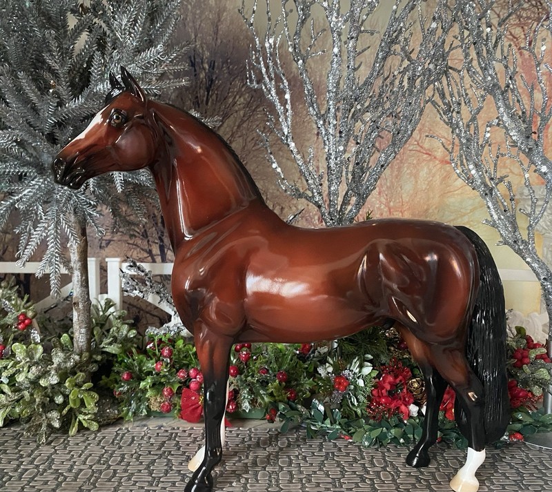 *SALE* Peter Stone Morgan Horse Alili, EQ 2019