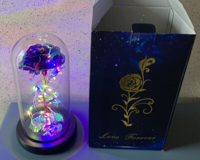 Love Forever Rose Light Up In Glass