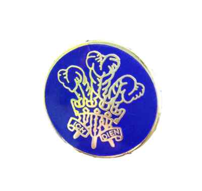 Prince of Wales Drei Federn Emaille Anstecknadel Abzeichen