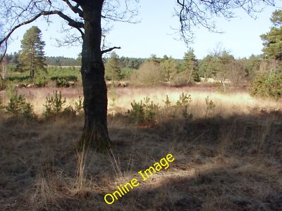 Foto 12x8 Wishmoor Bottom Camberley Open Heathland at Wishmoor Bottom. c2013