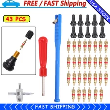 43PC Kit Valve Stem Installation Remover Repair Tool Puller Car Tire Plug Core