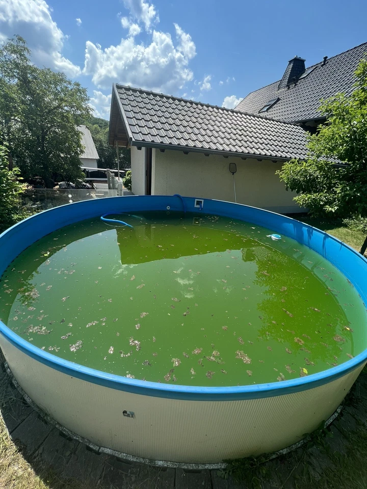 Großer Pool für den Garten - Bild 2 von 4