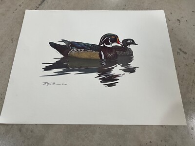 Richard Sloan Ducks Art Print Wildlife Artist 1981 Signed #5 | eBay