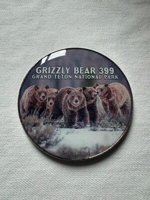Grizzly Bear 399 in Grand Teton National Park Wyoming Premium