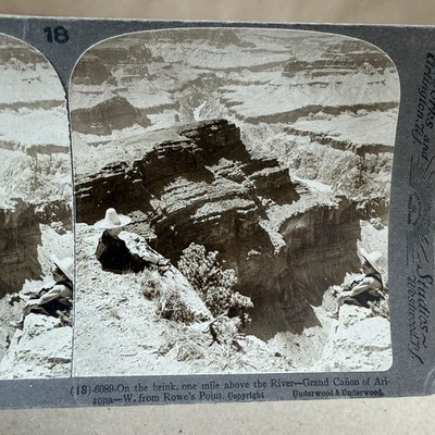 On the Brink, 1 Mile Above Plateau   Grand Canyon, Rowe s Point View Stereoview