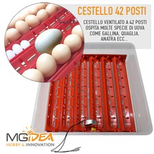 CESTELLO VASSOIO UOVA TUTTE LE SPECIE AVICOLTURA MOTORE GIRAUOVA AUTOMATICO