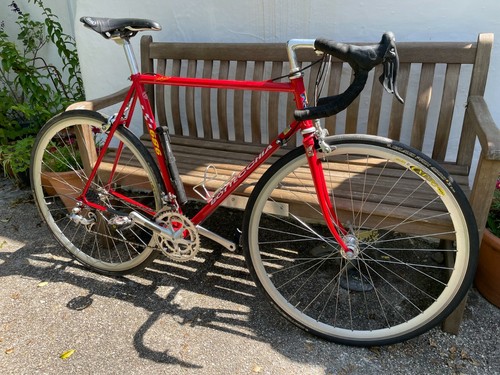 Bottecchia 989 Classic Steel Road Bike - frame Size 55 - Campagnolo  components | eBay