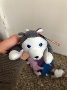 nook the husky beanie baby