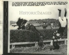 1960 Press Photo Doityourself shown tossing his rider Bill Rees - net35684
