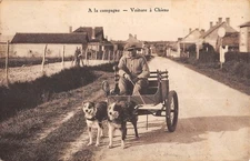 CPA 45 CERDON DU LOIRET A LA CAMPAGNE VOITURE A CHIENS 