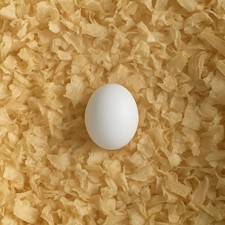 Uovo Finto per Parrocchetto in Plastica | Medie