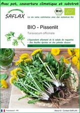 SAFLAX - Garden to go - BIO - Pissenlit - 400 Graines