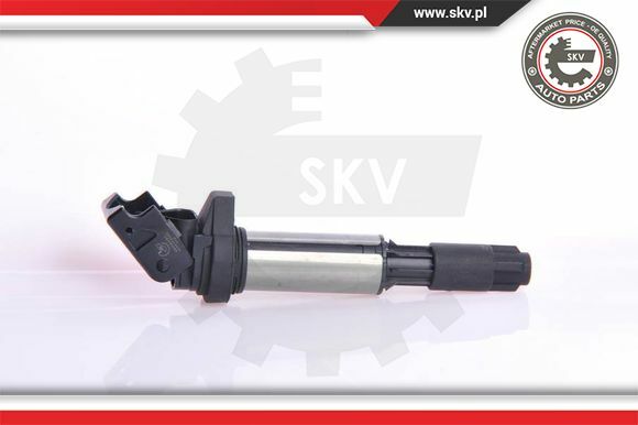 Esen SKV ZüNdspule ZüNdmodul FüR BMW 3Er Compact 316 TI 318 325 318I 316I 320I-image