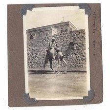 EGYPT man Riding a Camel at Aswan Vintage Photograph 1930