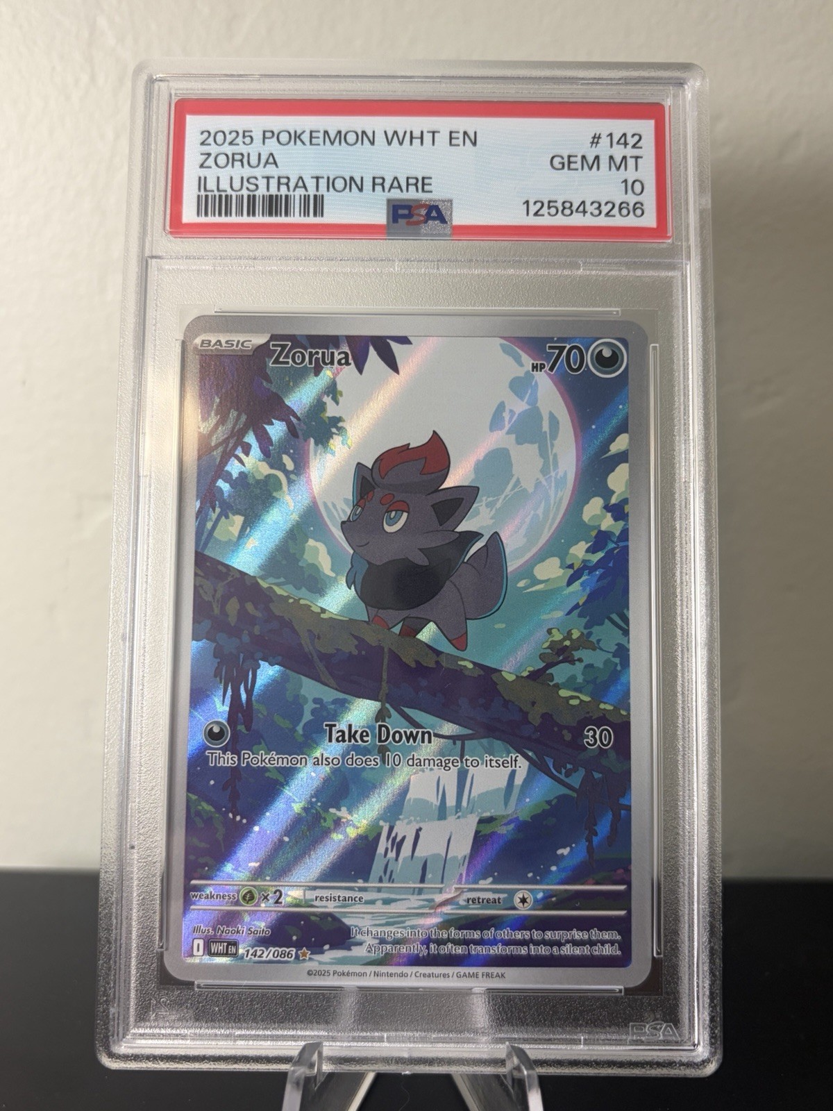 Zorua 142/086 Pokemon Sv: White Flare Holo Illustration Rare IR PSA 10 GEM MINT