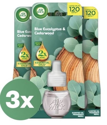Air Wick Electric Nachfüllung - 3x19ml Eukalyptus & Zedernholz