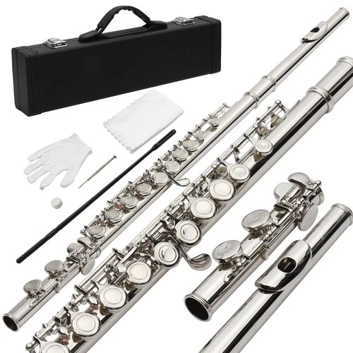 Ktaxon School Student Professional 16 Closed Hole C Tone Flute Nickel-plated