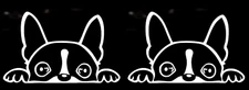 Boston Terrier Peeking - TWO White Vinyl Decals Car truck Window laptop vehicle