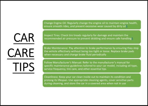 Scheinwerferschutzgitter kompatibel mit Royal Enfield Himalayan 411 BS6 - Bild 8 von 10