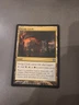 Savage Lands - Shards of Alara - NM, English MTG Magic FLAT RATE SHIP m2