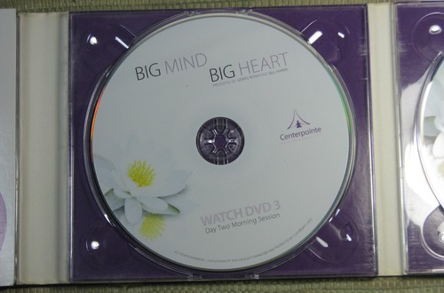 BIG MIND BIG HEART Genpo Roshi & Bill Harris 4 DVDs Set 2008 Centerpointe - Foto 10 di 11
