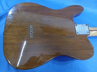 Aria Pro II TE-500 Thinline Telecaster Type Semi-Hollow Electric