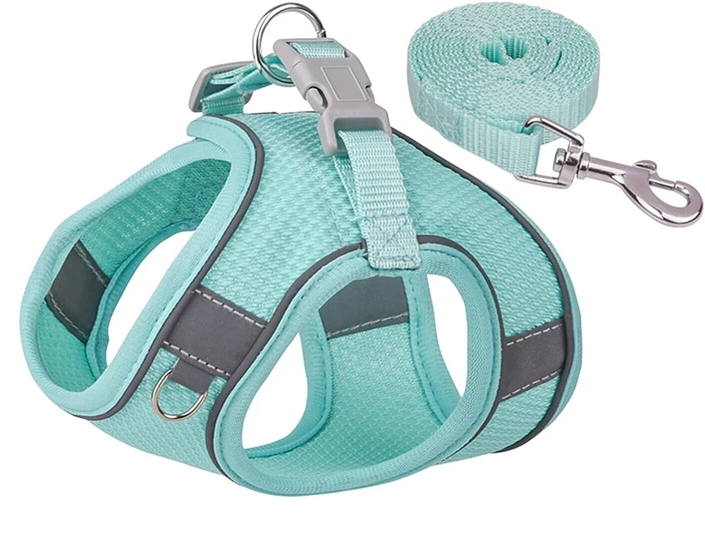 Dog Harness No Pull Puppy Harness and Leash Set Comfort, Safety, and Stylish