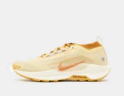 Nike Pegasus Trail 5 GORE-TEX Schuhe in Beige