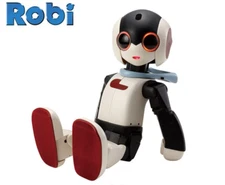 Deagostini Robi assembled Robot Japan Ver. carrying case