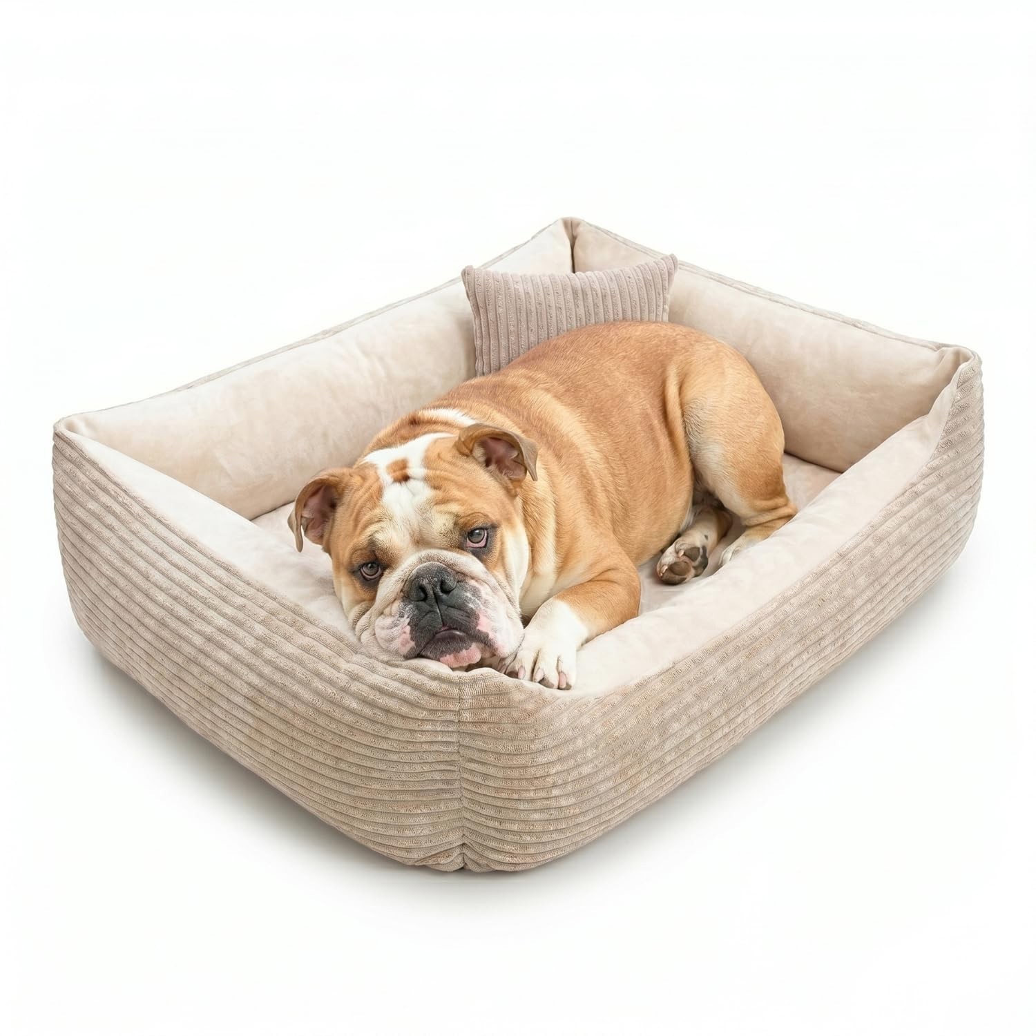MOLLY Hundebett Cord waschbar Hundekorb mit Rand Hundekörbchen 60x40 bis 120x100