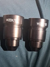  1 Pair (2 Eyepieces) W20X/10 Eyepiece