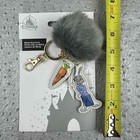 Foto 4 di 6