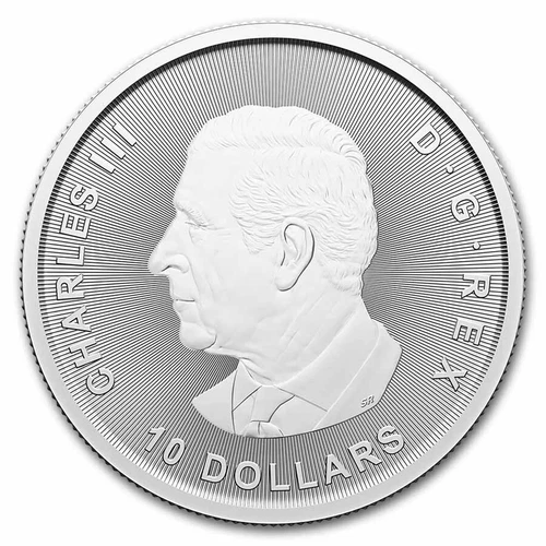 2024 RCM 2 oz Silver Ice Age of Canada Woolly Mammoth BU image 2