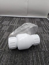 Jones Stephens C31200 2 Inch IPS PVC Check Valve