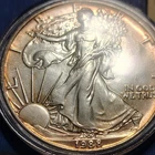 1988 U.S. Mint American Eagle 1 oz Silver Coin 0.999 Fine. Lightly Toned!