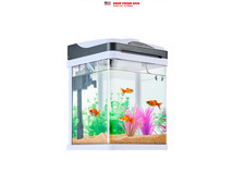 KFFKFF 2-Gallon LED Glass Aquarium with Temperature Display, Adjustable 7-Color